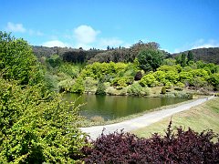 6467_Mt_Lofty_Botanic_Garden_lake