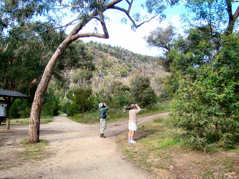 6850_Jason_and_Richard_Anakie_Gorge_hike.JPG