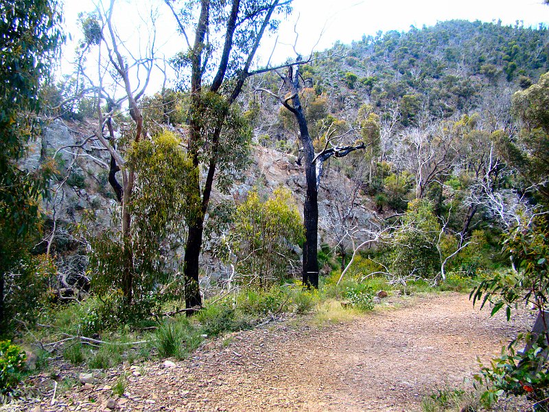 6854_Anakie_Gorge_Brisbane_Ranges_NP.JPG