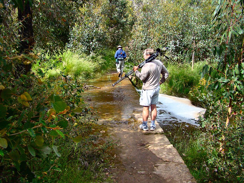 6859_One_of_the_creek_crossings.JPG