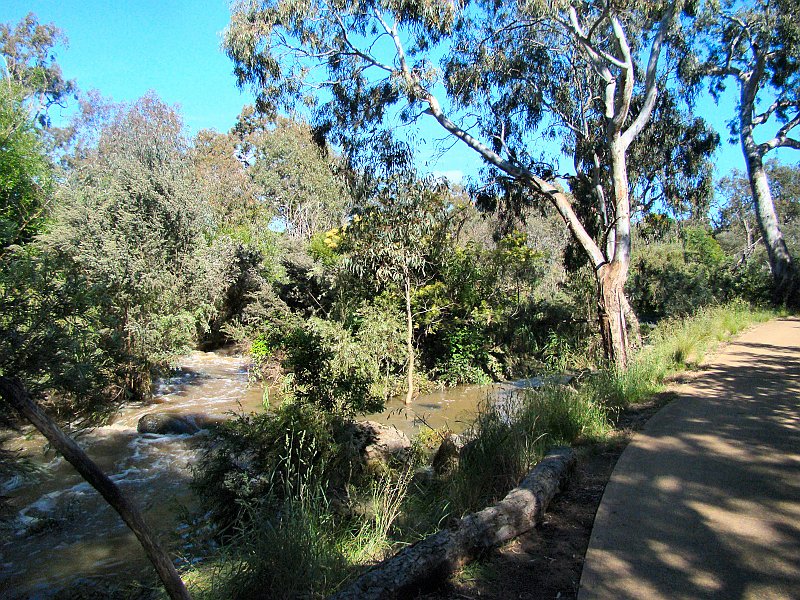 6919_Werribee_River_walk.JPG