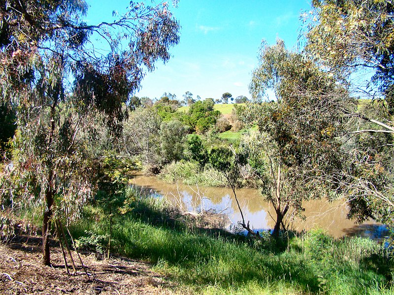 6920_Werribee_River.JPG
