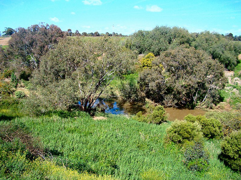 6924_Werribee_River.JPG