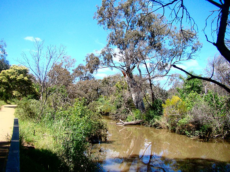 6955_Werribee_River_walk.JPG