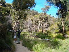 6851_Anakie_Gorge