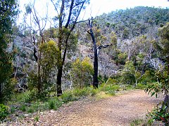 6854_Anakie_Gorge_Brisbane_Ranges_NP