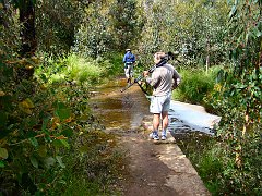 6859_One_of_the_creek_crossings
