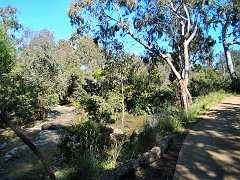 6919_Werribee_River_walk