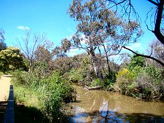 6955_Werribee_River_walk