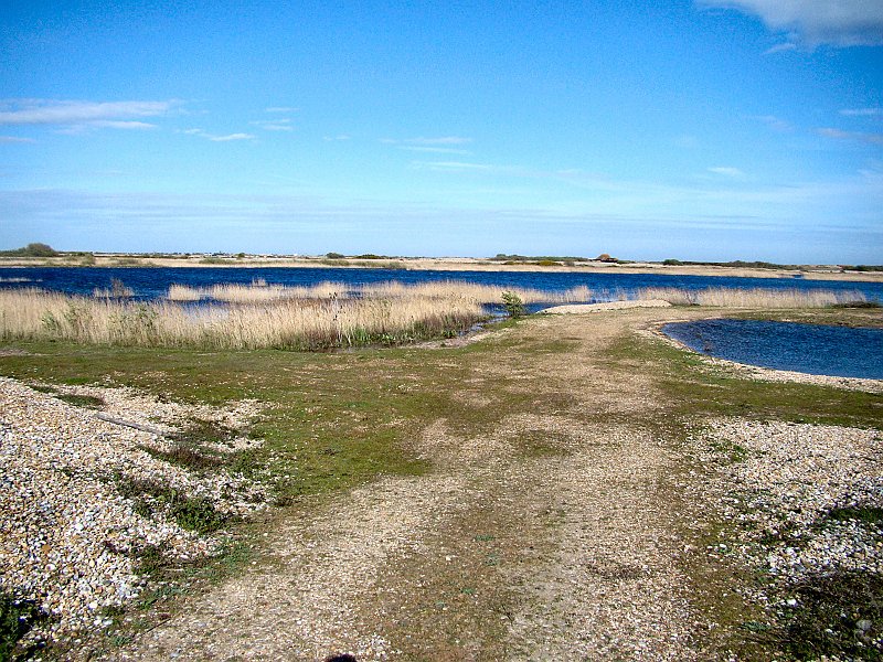 2022_Dungeness_Reserve.JPG
