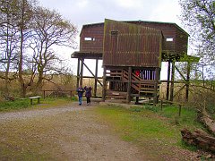 2132_Minsmere_Bittern_Hide