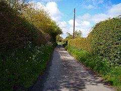 2355_Narrow_lane_to_my_cottage