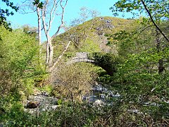 2503_Bridge