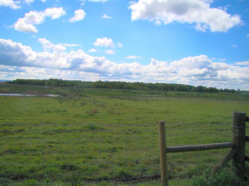 3390_View_from_hide.JPG
